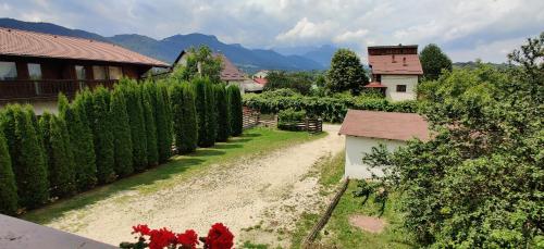 a dirt road with a bunch of trees and red flowers at Pensiunea MIS in Bran