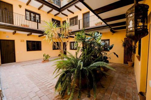 Corral del Horno Central Oasis by Valcambre