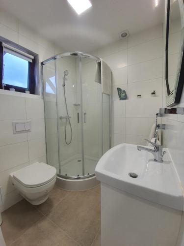 a bathroom with a shower and a toilet and a sink at Stepnicka Keja in Stepnica