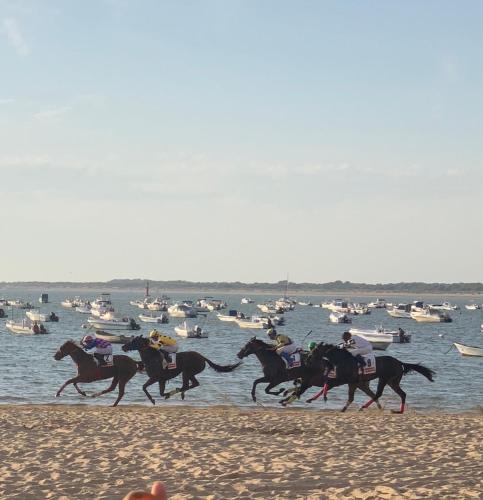 a group of horses running on the beach at ATICO LA ILUSION CON PARkING in Sanlúcar de Barrameda
