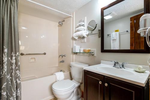 a bathroom with a toilet and a sink and a mirror at Hotel de la Monnaie in New Orleans