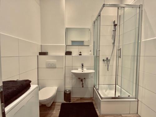 ein Bad mit einer Dusche, einem WC und einem Waschbecken in der Unterkunft Be my Guest in Mannheim in Mannheim