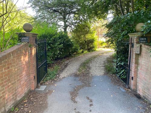 Κήπος έξω από το Chichester Retreat with Large Private Mature Garden