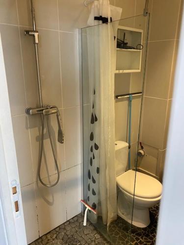 Un pequeño baño con inodoro y ducha. en Baie à Deux, en Saint-Valery-sur-Somme