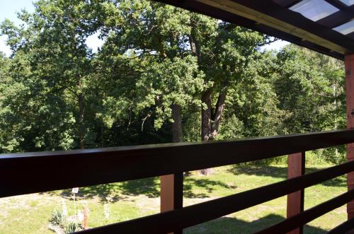 a view of a yard from a porch with trees at Hotel Tenis in Chrząstowice