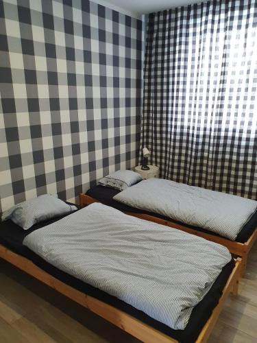 two beds in a room with a checkered wall at Noclegi Róża Wiatrów in Górowo Iławeckie