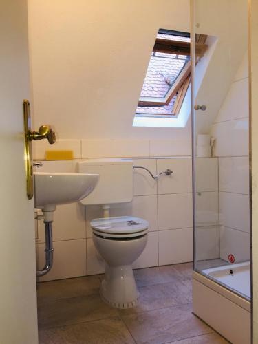 a bathroom with a toilet and a sink and a skylight at Natur und Neckarblick bei Heidelberg in Hirschhorn