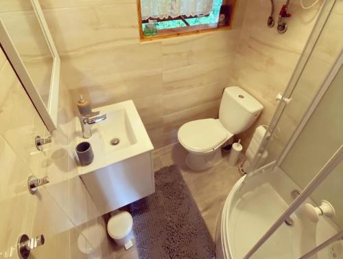 a bathroom with a toilet and a sink and a shower at Zakątek Wierzchownia in Wierzchownia