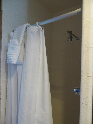 a bathroom with a shower with a white shower curtain at Alamo Inn in Alamo