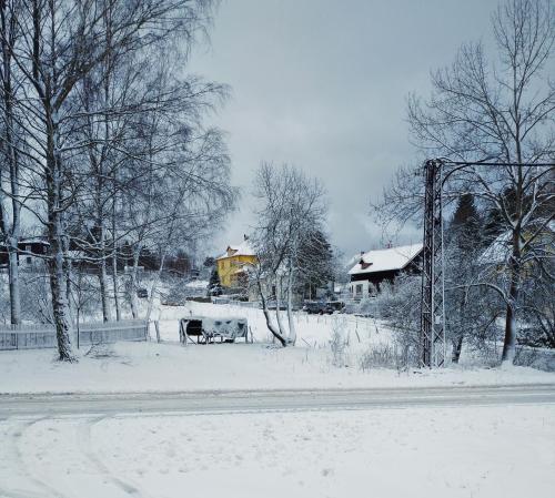 a snow covered yard with a house and a cow at Penzion U Lucerny s malou farmičkou in Kytlice