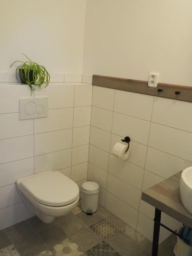 Koupelna v ubytování U Václava