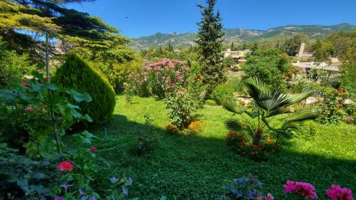 a garden with colorful flowers and plants at Alvero Hotel in Përmet