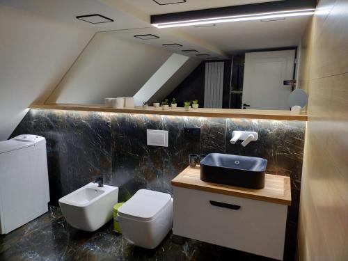a bathroom with a sink and a toilet and a mirror at VIP Apartament Sosnówka in Sosnówka