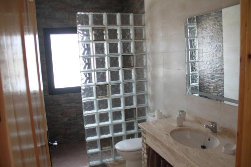 a bathroom with a toilet and a sink with a glass block wall at CUEVAS AL ANDALUS - Alegria in Orce