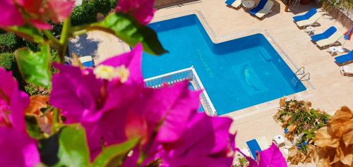 Πισίνα στο ή κοντά στο Palmen Apart Hotel