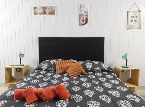 um quarto com uma cama com duas almofadas em LIZARRA Monoambiente RESISTENCIA- 100 mts peatonal em Resistência