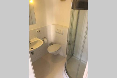 a bathroom with a shower and a toilet and a sink at Sachsenhausen in Alzenau in Unterfranken