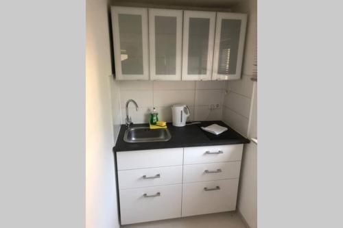 a small kitchen with a sink and white cabinets at Sachsenhausen in Alzenau