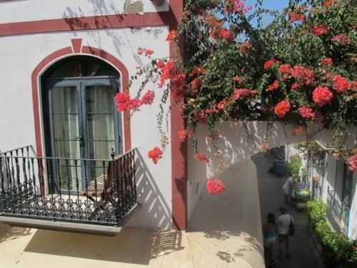 Harbour 332 in Puerto De Mogan by El Sirocco