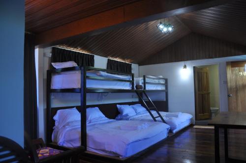 a bedroom with two bunk beds in a room at Joe Fisherman Inn in Pangkor