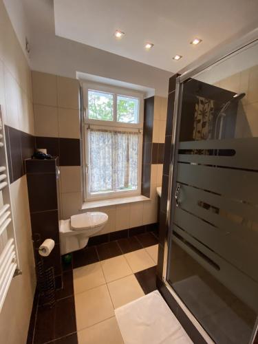 a bathroom with a sink and a toilet and a window at CIENISTA 7 APARTMENTS in Lądek-Zdrój