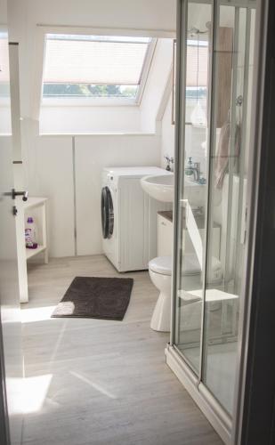 a bathroom with a toilet and a sink at FeWo Maschblick in Schwarmstedt