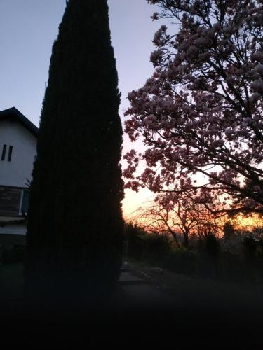 a sunset behind a tree and a house at Jardin Fleuri in Lingolsheim