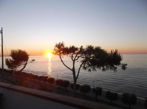 un tramonto sull'acqua con una palma di Affittacamere Murgenere a Vico del Gargano