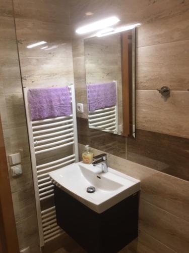 Ένα μπάνιο στο Apartmány Dolní Morava