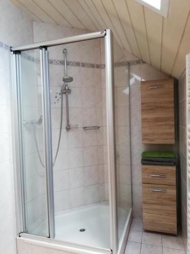 a shower with a glass door in a bathroom at Apartment Natur Herz in Haus im Ennstal