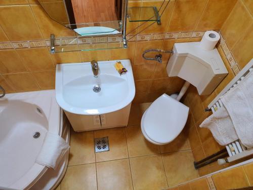 La salle de bains est pourvue d'un lavabo blanc et de toilettes. dans l'établissement Casa Carpati, à Zărneşti