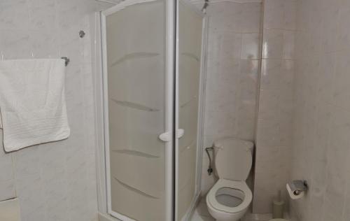 a white bathroom with a shower and a toilet at Nikos and Eva Studios in Symi