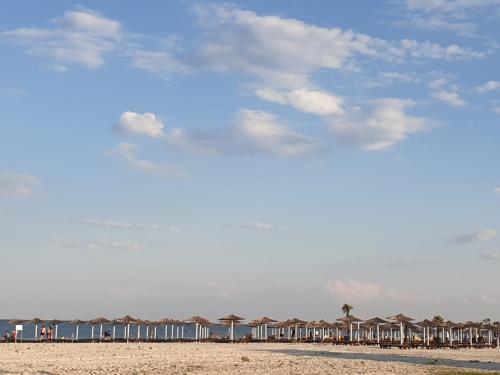 a row of umbrellas on a sandy beach with a row at Body Residence in Mamaia Nord