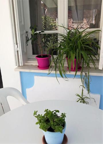 a white table with two potted plants on a window at Stratos Hotel in Pythagoreio