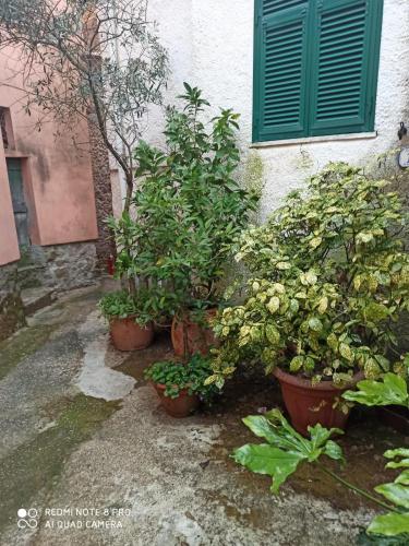 Κήπος έξω από το Country House