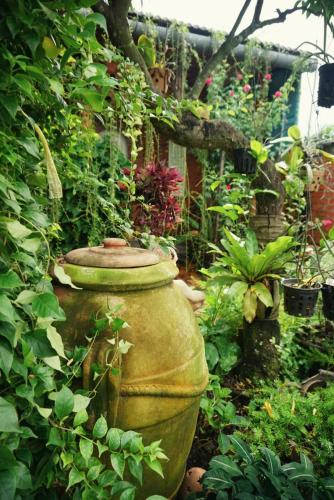 a large vase sitting in the middle of a garden at Mekong Pottery Homestay, Green-Friendly & Boat Tour in Vĩnh Long