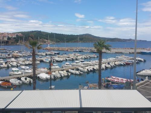 a marina filled with lots of boats in the water at Résidence La Grande Voile in Banyuls-sur-Mer