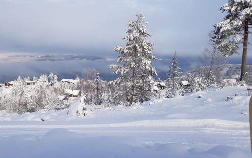 a snow covered mountain with trees and houses in the distance at Mjøshytte in Stange