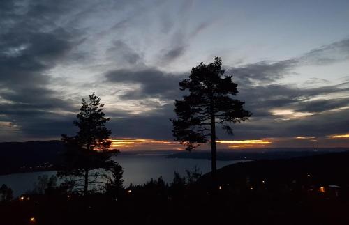 two trees on a hill with a sunset in the background at Mjøshytte in Stange