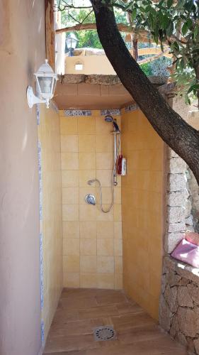 a shower in a bathroom with a tree at Sardinia Sea Vacation Villa in Costa Paradiso