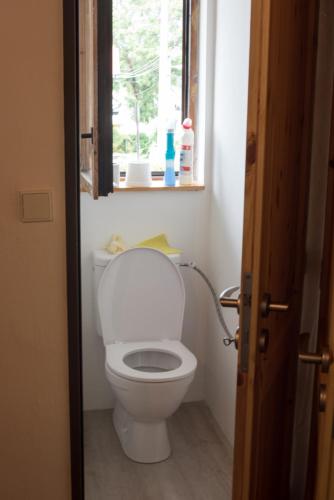 baño con aseo blanco y ventana en Chalupa Svojše - druhá zóna N P, en RejÅ¡tejn