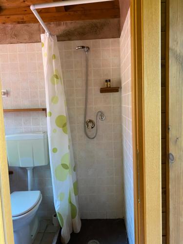 a bathroom with a toilet and a shower with a shower curtain at I Giardini Di Margius in Itri