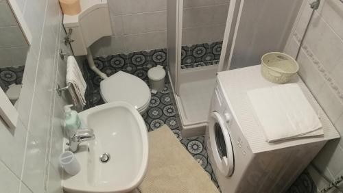 een kleine badkamer met een wastafel en een toilet bij Studio apartman Erika in Ližnjan