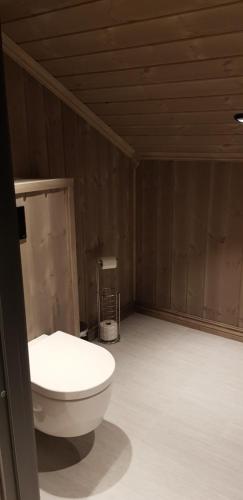 a bathroom with a white toilet in a room at Mjøshytte in Stange