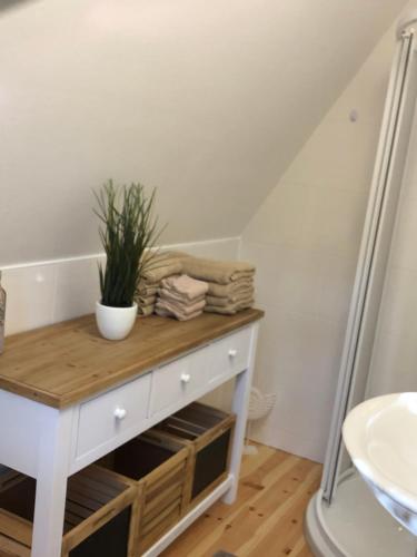 un bagno con un comò bianco con una pianta sopra di Ferienhaus Reetdach 1300qm Privatgrundstück Bootssteg Sauna Templin Lübbesee Uckermark Erholung pur Seenplatte a Petersdorf