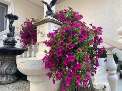 a bunch of pink flowers on a stair railing at Apartments & Pool Villa White House in Pančevo