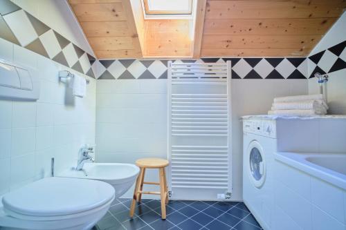 a bathroom with a toilet a sink and a washing machine at Supperior Appartement in Rasùn di Sotto