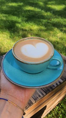 a person holding a cup of coffee on a blue plate at Hotel Vivaldi in Poznań