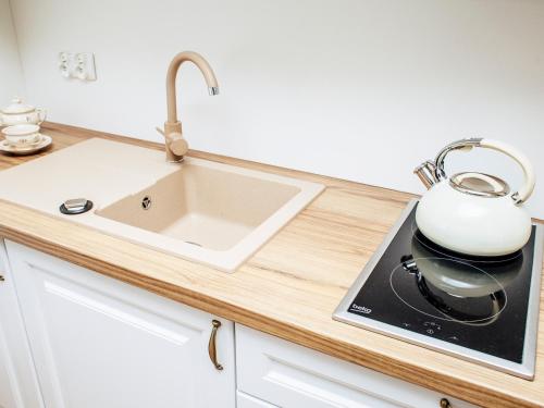 a kitchen counter with a sink and a tea kettle at Kaszubskie Zacisze in Władysławowo