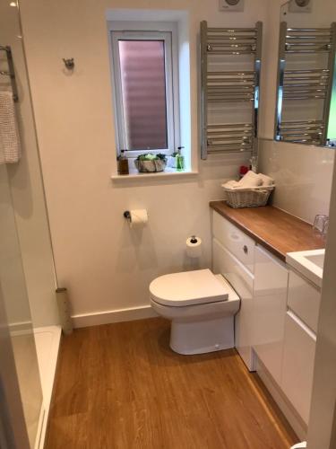 a bathroom with a toilet and a sink and a window at Medina in Portree